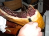 spago-lunch-026-large