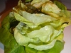 Butter lettuce salad