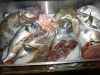 Bartolotta seafood array