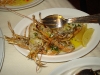 Icelandic langoustines