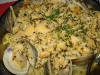 Lot's o' fresh clams
