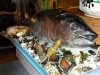 Bluefin tuna