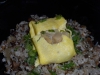 Oxtail fried rice
