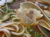 Beef tendon anyone?