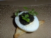 Caviar egg