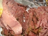 carnegie-deli-005-large.jpg