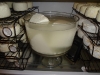 Goat's milk feta