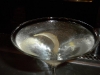 Vesper