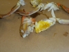 Fatty crab