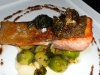 Tasmanian sea trout