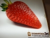 Cool fruit