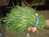 Agretti