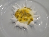 Passion fruit sunflower