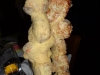 Parmesan-crusted pork
