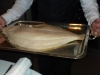 Five pound turbot