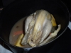 Pintade aka Guinea Hen