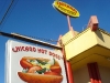 Chicago Hot Dogs