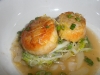 Scallops with fennel