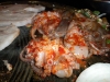 Octopi