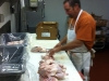 Chuck Frommer and his chicks