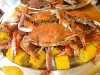 ELV's portion