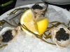 Oysters with caviar