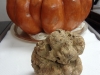 Pumpkin soup with truffle