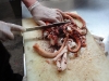Slicing it up