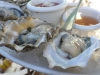 Otter Creek WA oysters