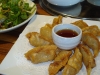 Mandu dumplings