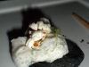 Brazilian ceviche with coconut foam