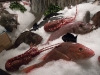 Fish display