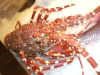 Mediterranean lobster