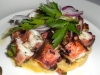 Grilled octopus