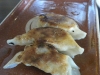 Gyoza close-up
