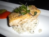 Halibut
