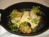 Scallops