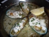 Green lip mussels