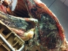 Aging beef