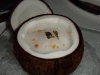 Coconut sorbet at Le Cirque