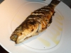 Sea bass