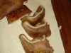 dsc02398.jpg