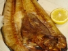 dsc02406.jpg