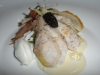 Sturgeon