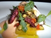 Baby octopus salad