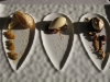 sarahs-desserts-8.jpg