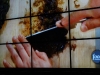 Chopping kombu