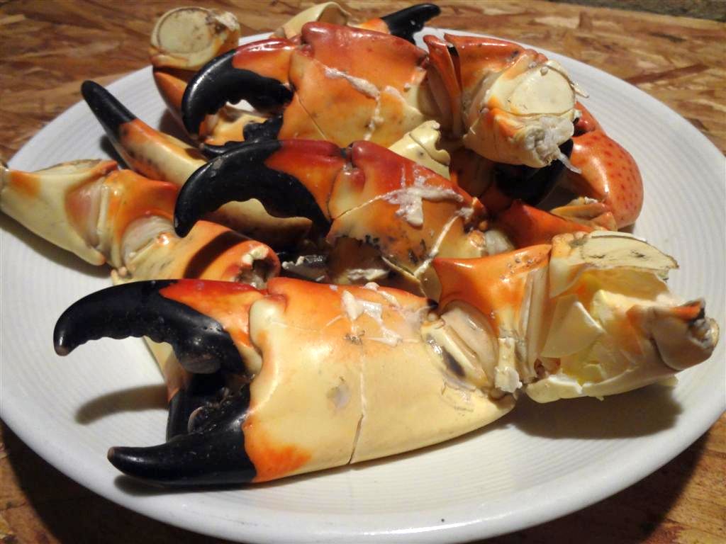 Eat These Tonight Stone Crab Claws at THE FLAME — Eating Las
