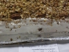 Better Than Sex Cake