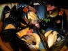 Penn Cove mussels